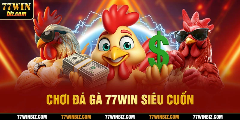 Chơi đá gà 77win siêu cuốn